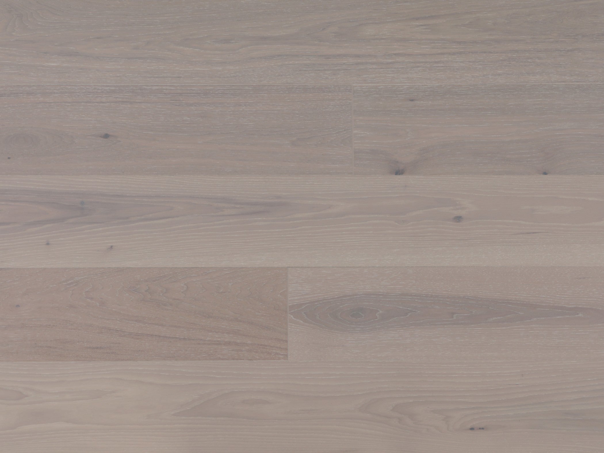 American Hickory 6" Collection - Seashell