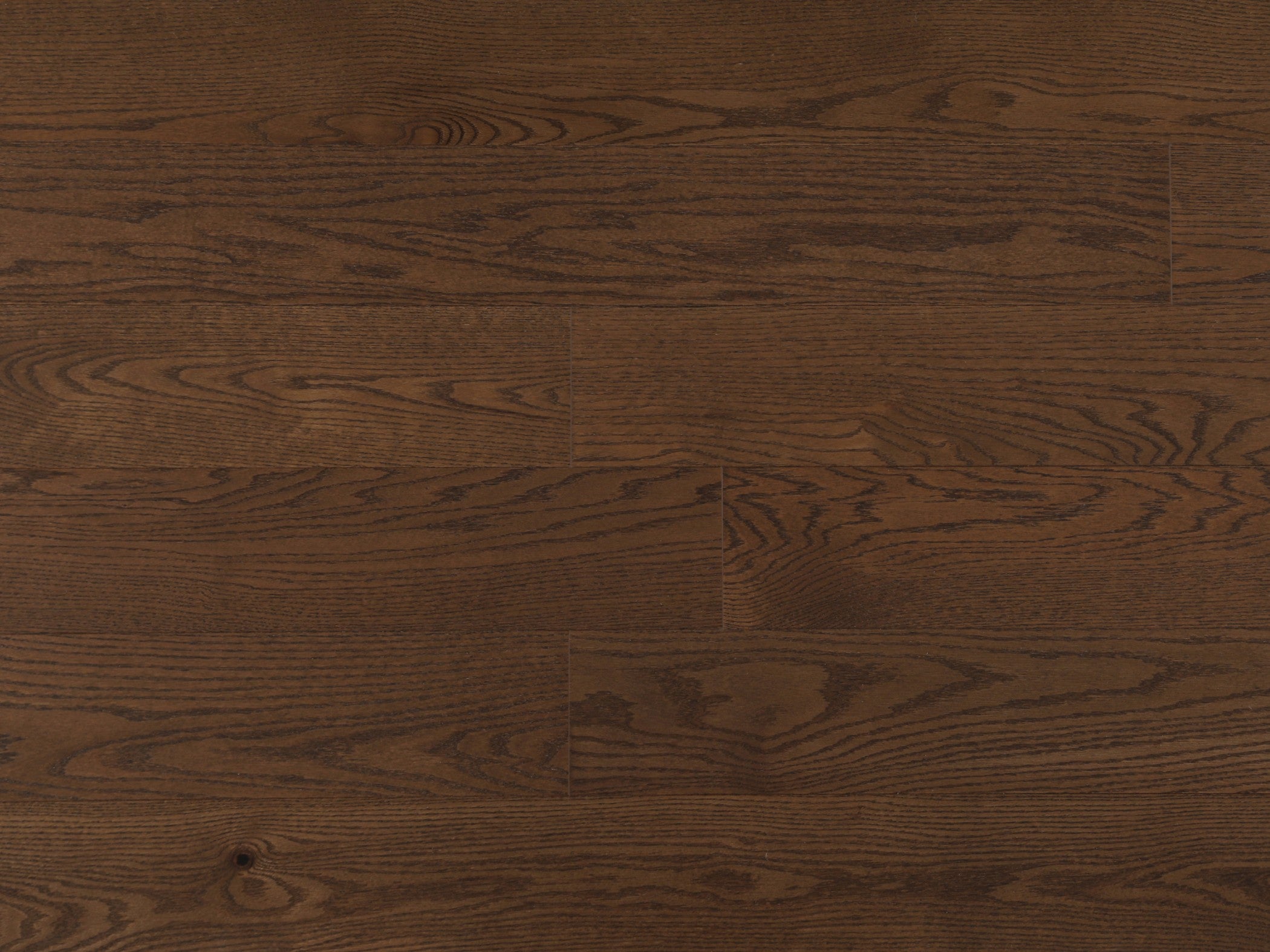 American Oak 6" Collection - Camel