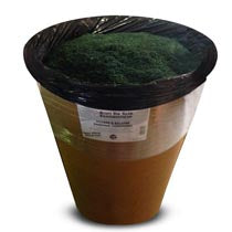 Carrousel Packaging - Poudre à balayer - 300 lb