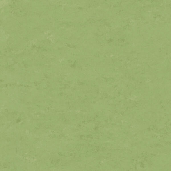 Tarkett - Feuille de linoléum Linofloor xf² Veneto Apple Green 6-1/2' - 2.5 mm (vendu en vg²)