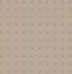 Tarkett - Tuile Tactile Dome 24 X24 #129