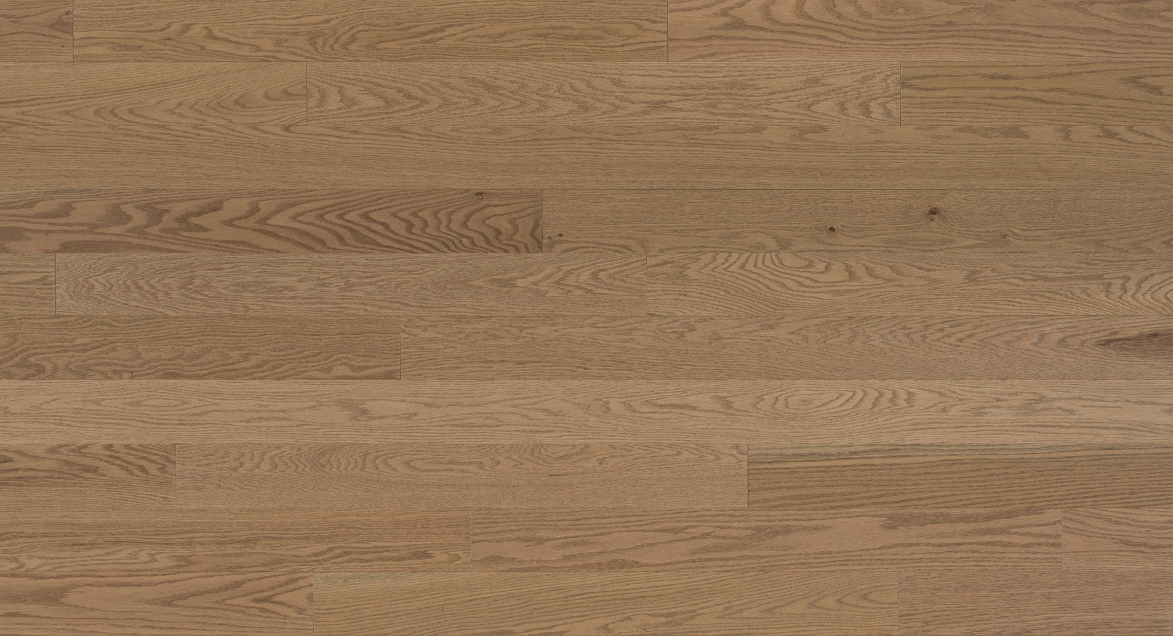 Barili Red Oak Engineered Wood - Shade