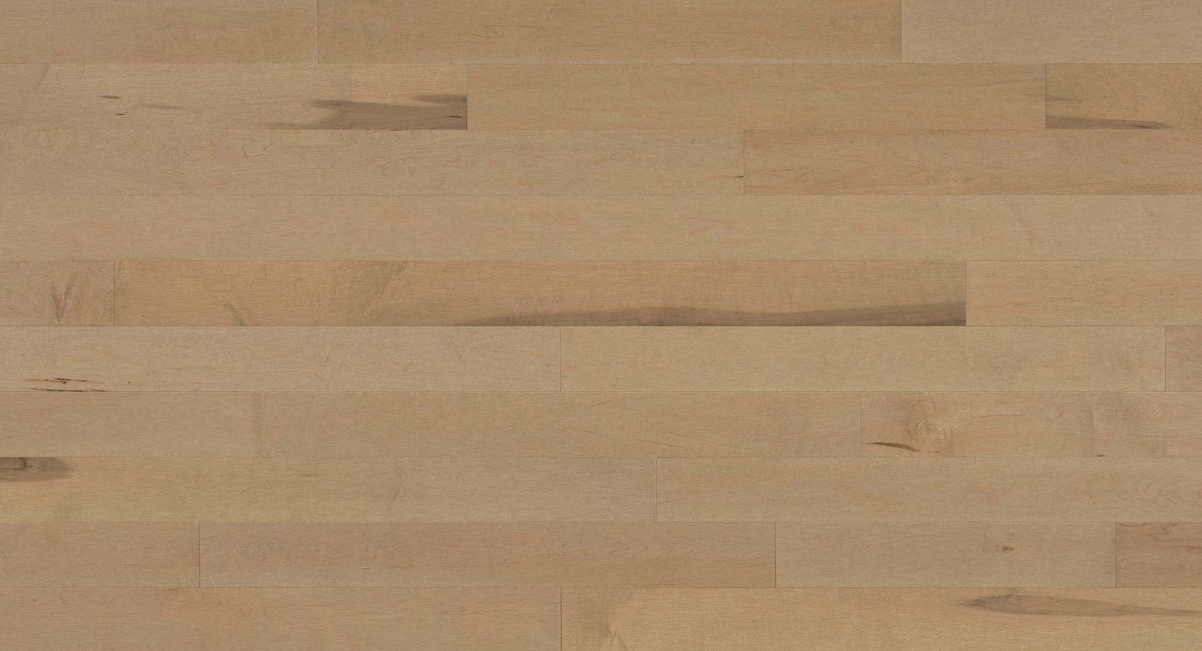 Barili Maple Engineered Wood - Shade