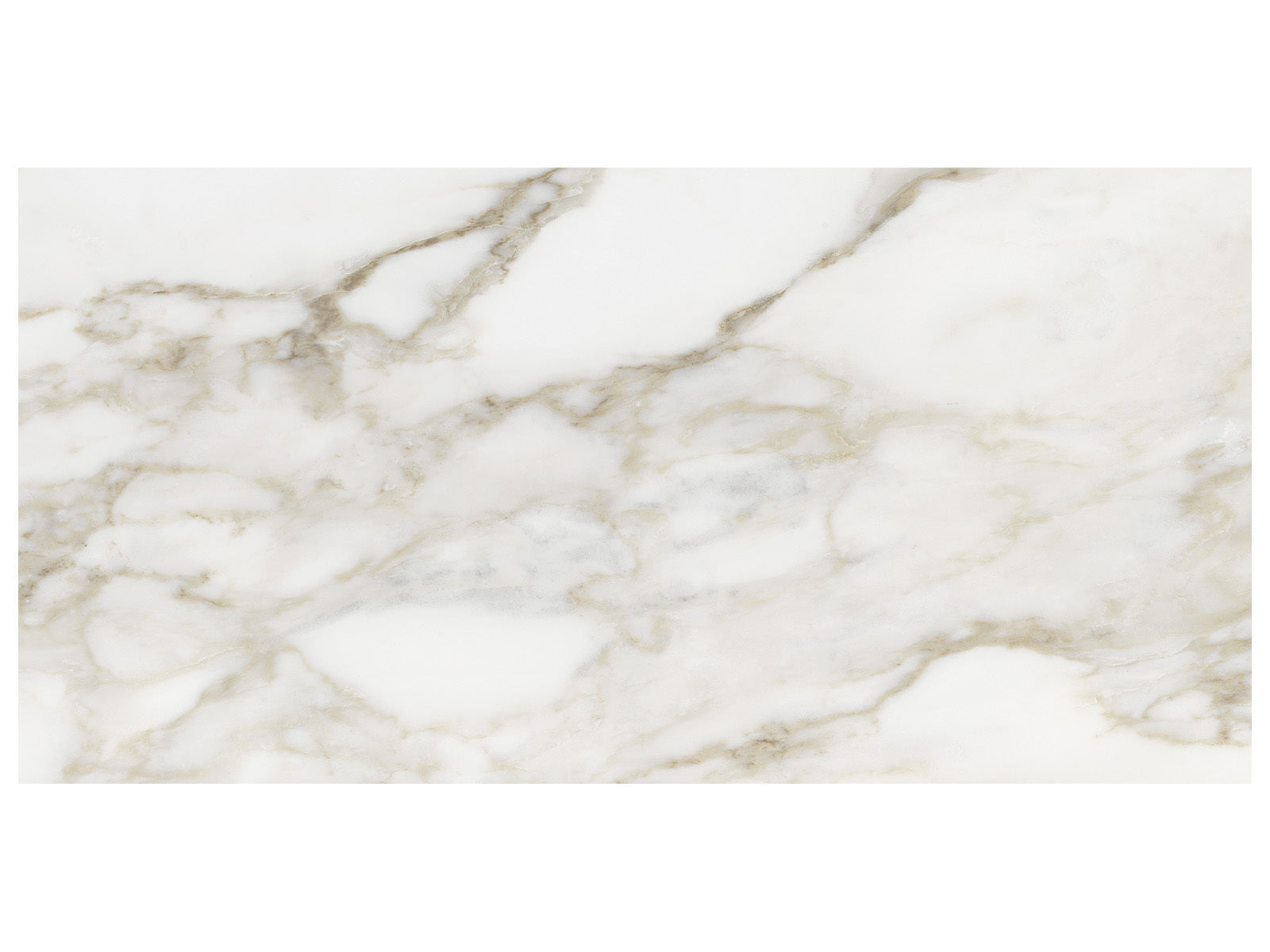 Anatolia - Lumino - Calacatta - Tuile de porcelaine émaillée aspect pierre, fini mat, 30 x 60 cm (12 x 24 po)