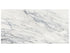 Anatolia - Majesto - Calacatta Corchia - Tuile de porcelaine colorée dans la masse, fini lustré, rectifiée 30 x 60 cm (12 x 24 po)