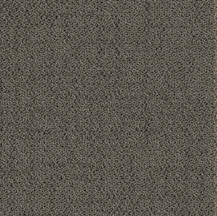 ProSolutions - Rouleau de tapis Solon avec système d'endos PermaFuseXL substrat rocheux 79-1/4" (vendu en vg²)