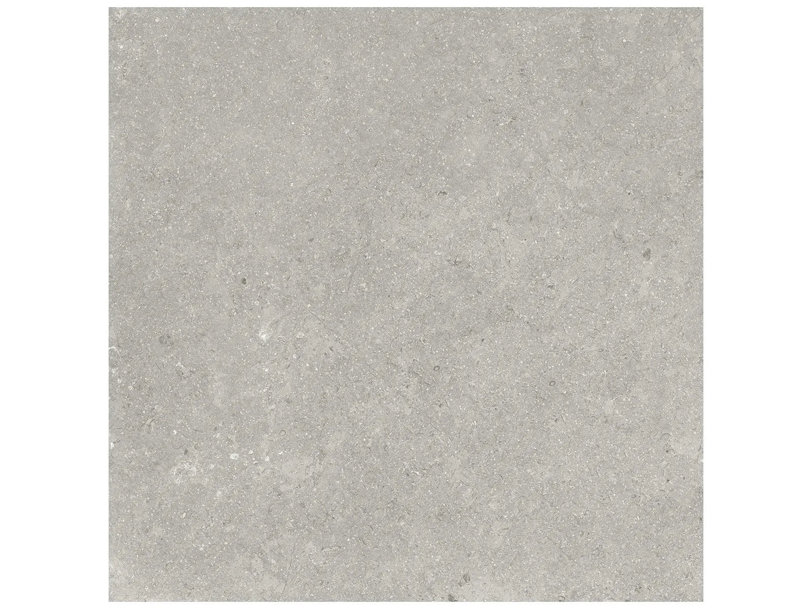 Coliseo Graphite - 12X24 / 20X20 / 13X13