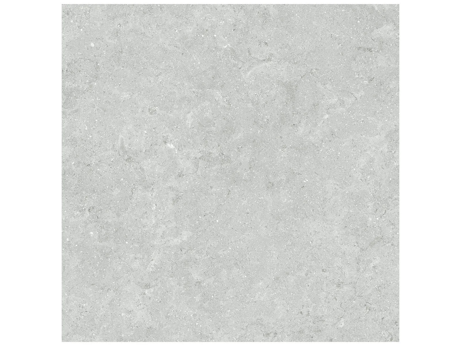 Coliseo Platinum - 12X24 / 20X20 / 13X13