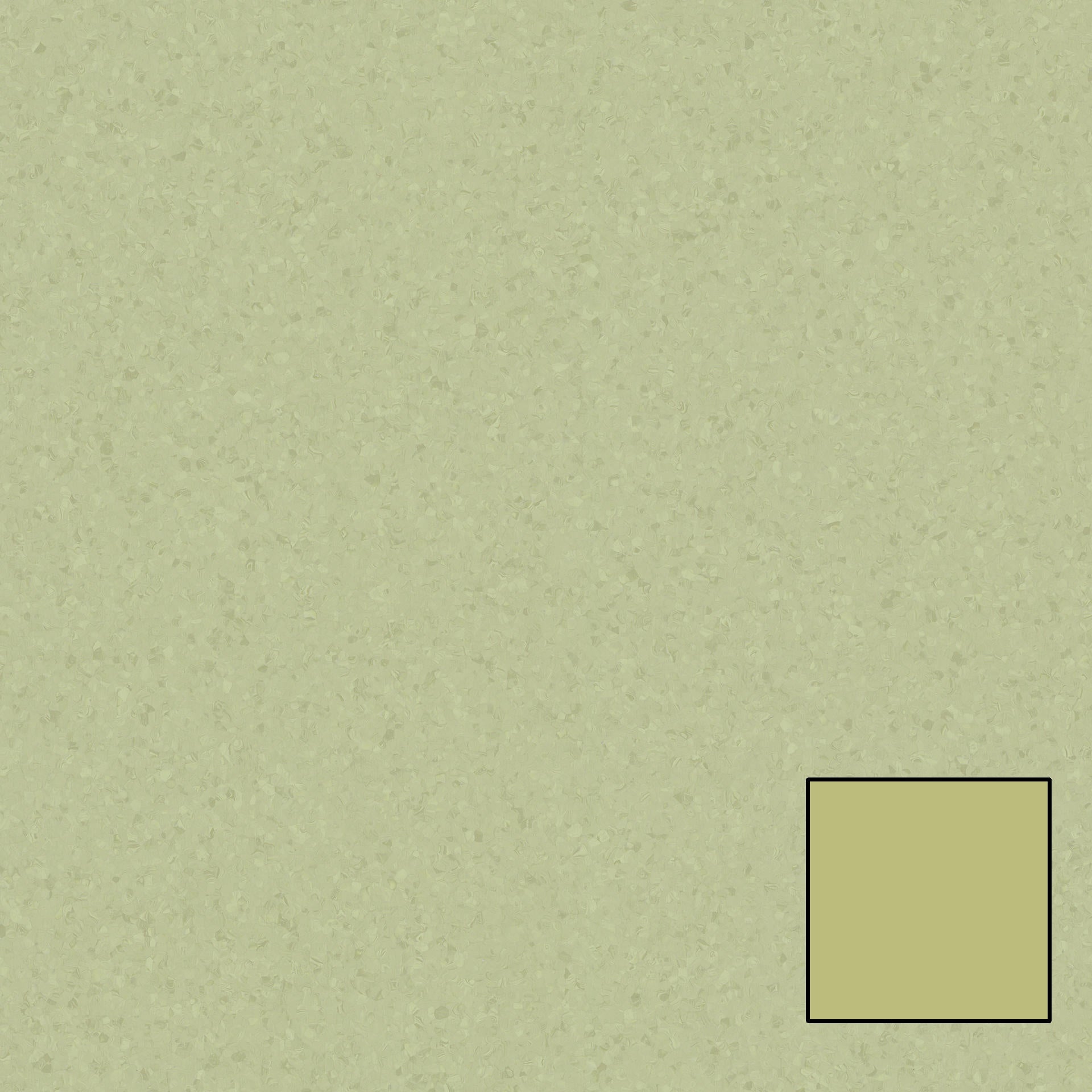 Tarkett - Rouleau de vinyle homogène Melodia #769 Light Olive Green 6.56' - 2 mm (vendu en vg²)