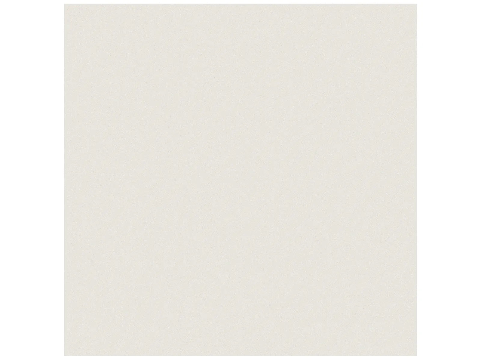 Prima Warm White - 12X12 / 12X24 / 24X24