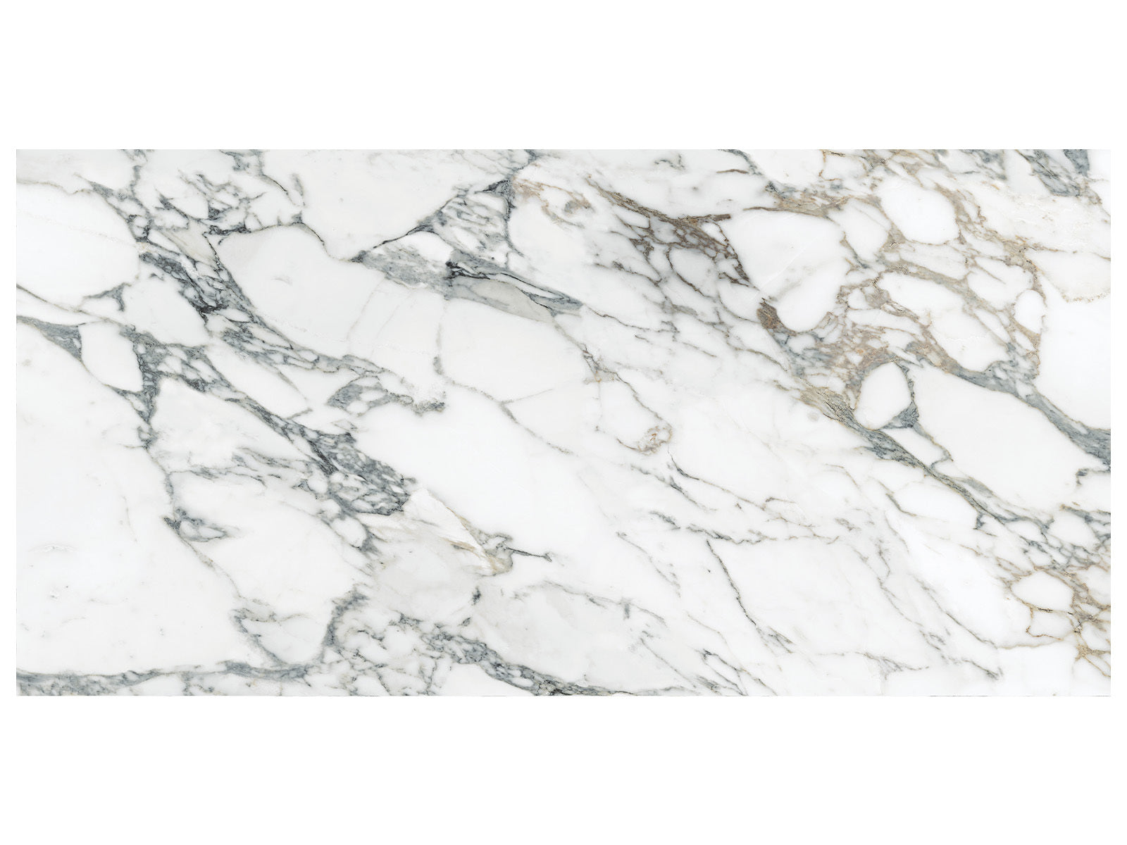 Anatolia - Majesto - Arabescato Corchia - Tuile de porcelaine colorée dans la masse, fini adouci, rectifiée 60 x 120 cm (24 x 48 po)