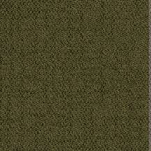 ProSolutions - Tuiles de tapis Solon Lichen 19-11/16" x 19-11/16" - 5.98 v² par boite