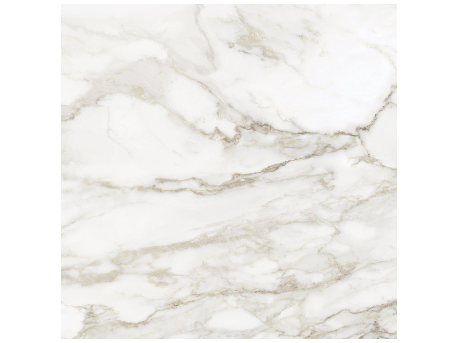 Anatolia - Tuiles plancher La Marca Calacatta Paonazzo Poli 32" x 32" (vendu en pi²)