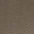 Tarkett - Solid Color - 1/8" Cubis Solid #101 Seaweed - Tuiles de 24" x 24"