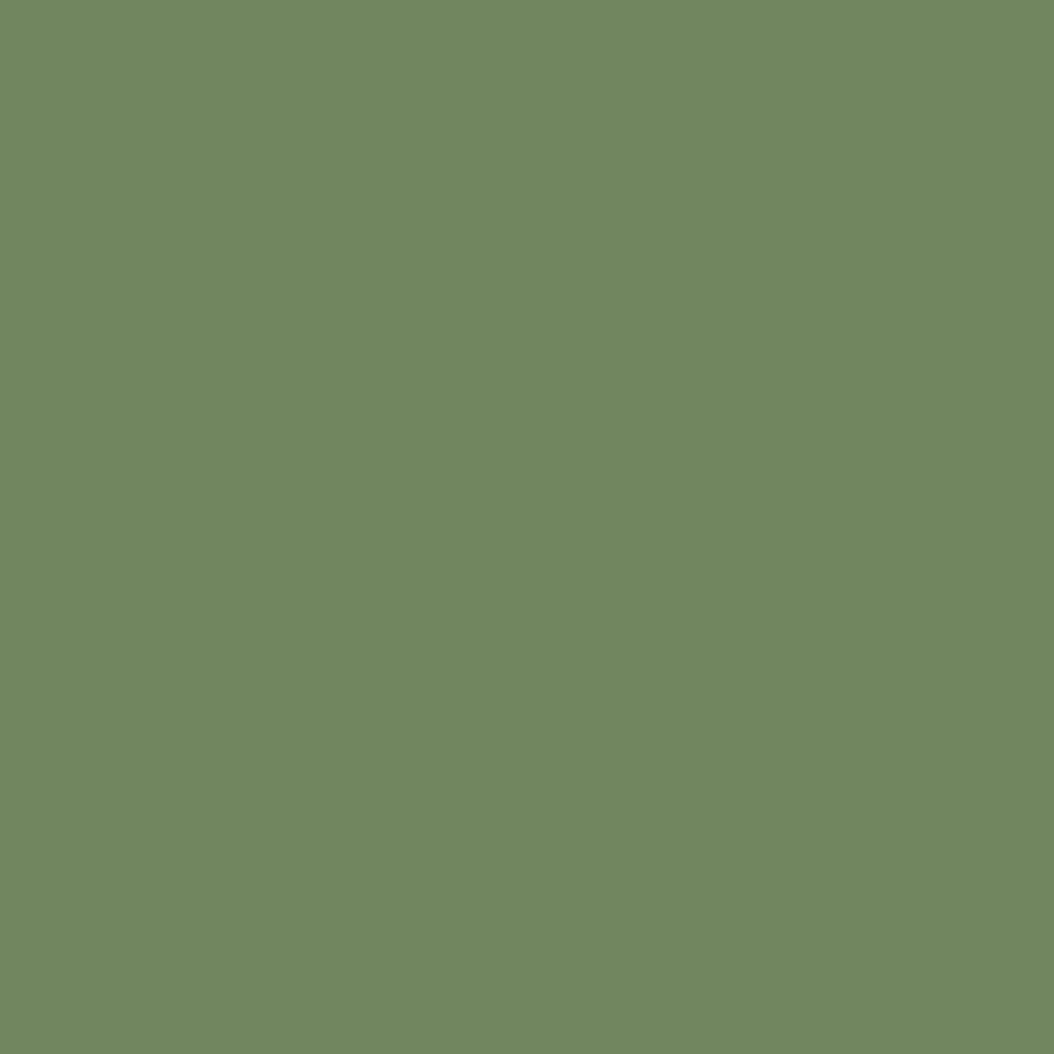 Tarkett - Solid Color - 1/8" Smooth Solid #TH1 Glenhaven - Tuiles de 24" x 24"