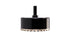 Rubi - Foret Foragres - 100 mm