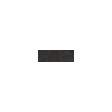 Anatolia - Tuiles de plancher La Marca Nero Venato Adouci 4" x 12"