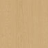 Tarkett - Rouleau de vinyle hétérogène Performa #55002 Golden Glaze 12' x 2 mm (vendu en vg²)