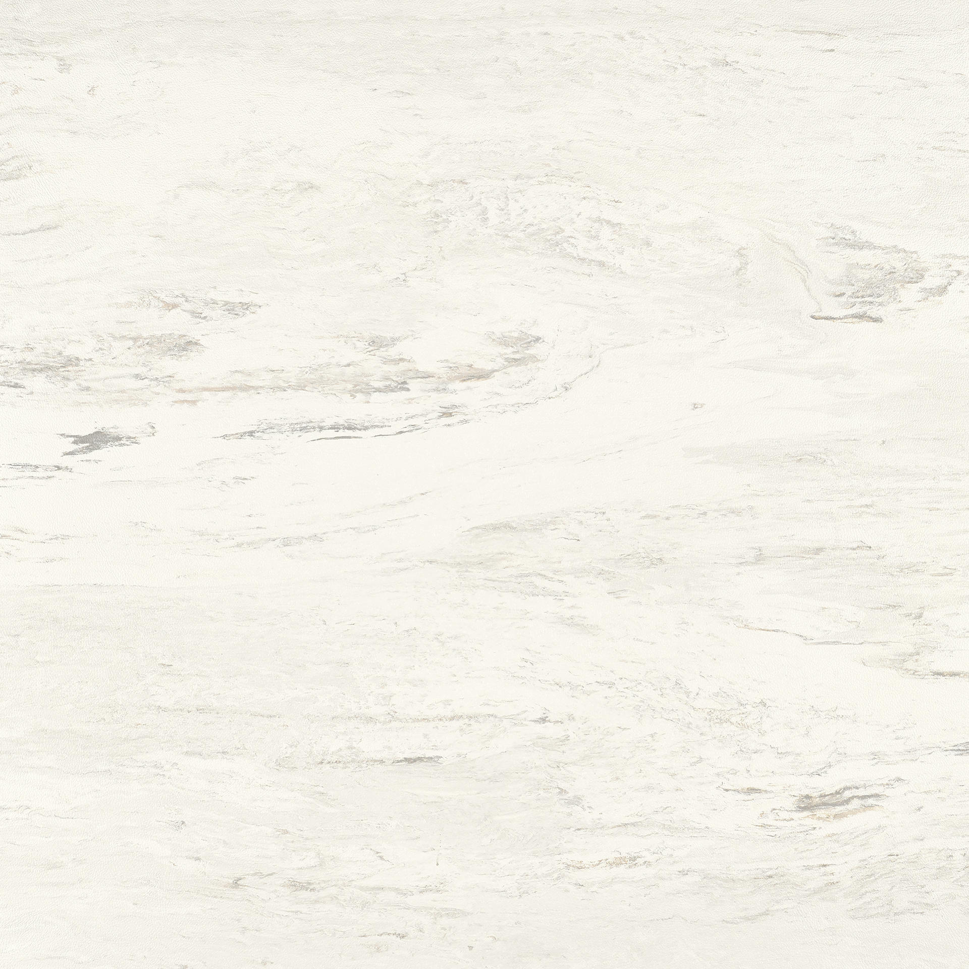 Tarkett - Organics - #RH4 Dolomite - Tuiles de 24" x 24"