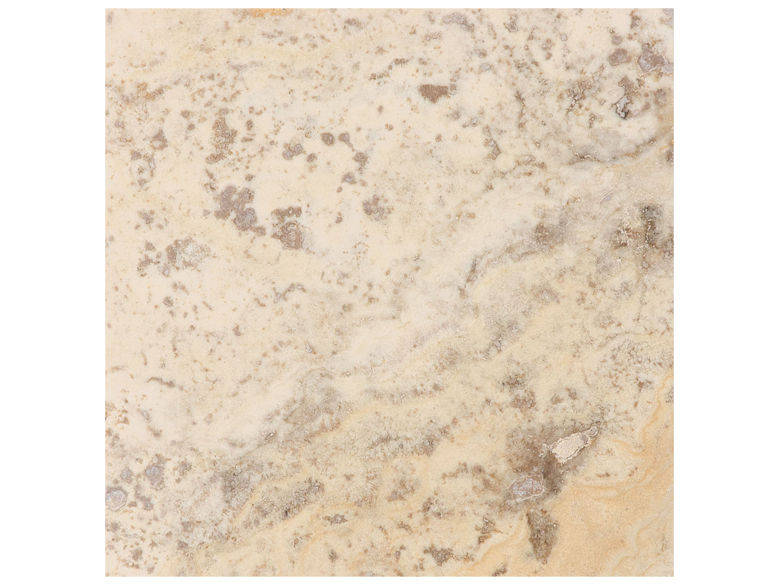 Anatolia - Plancher de céramique Picasso Travertine Rempli et aiguisé 6" x 6"