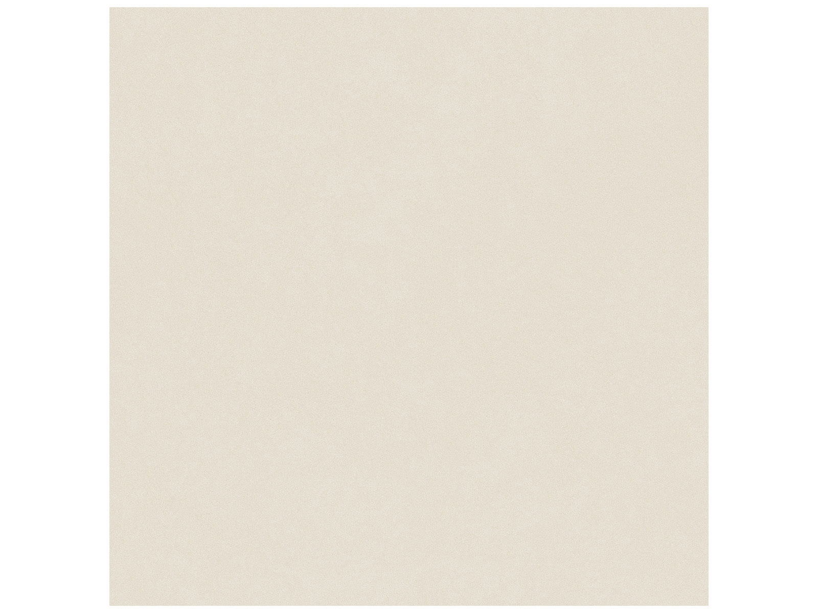 Anatolia - Serena - Crater - Tuile de porcelaine colorée dans la masse rectifiée aspect grès 24 x 48 po