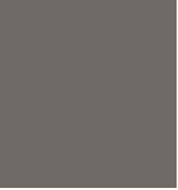 Tarkett - Plinthe Unie Vinyle Cbt48-4 X120'x1/8