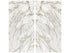 Calacatta Gold / Block 12
