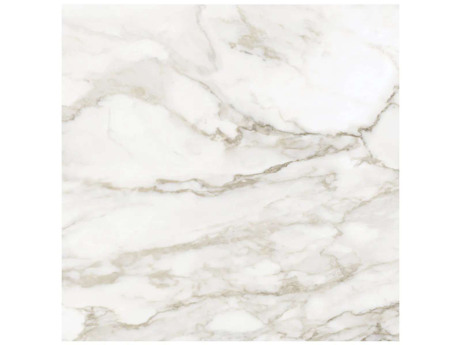 Anatolia - Planchers de céramique La Marca Calacatta Paonazzo Adouci 32" x 32"  (vendu au pi²)