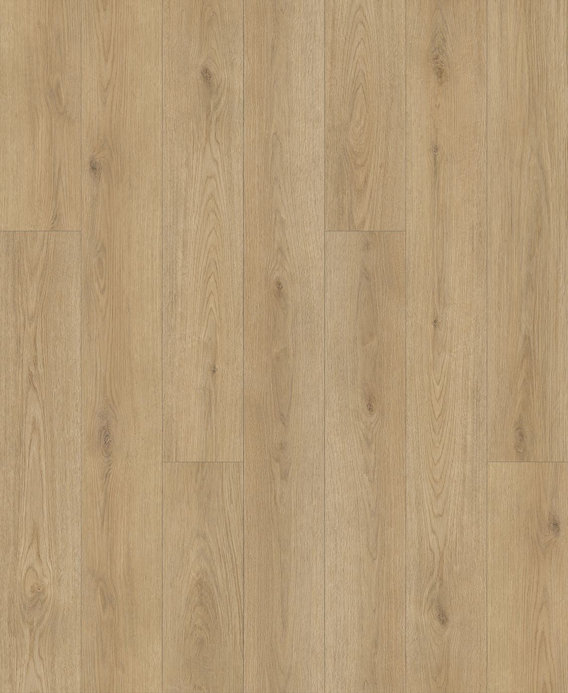 ProSolutions - Planches de vinyle EchoTec 5.0 Horizon collées au sol 7-1/4" x 48"