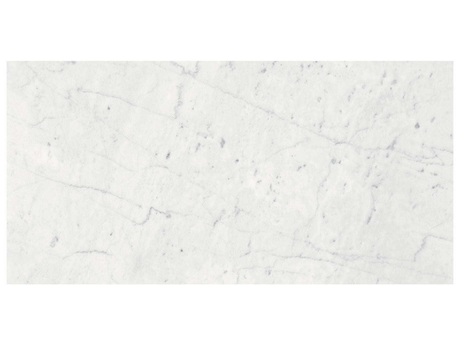 Anatolia - Eterna Bianco - Tuile de marbre, fini adouci 30,5 x 61 cm (12 x 24 po)