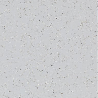 Torginol - Flocons pour epoxy ColorFlakes F1820 White 40 lb 1/8"