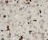 Torginol - Flocons pour epoxy Terrazzo FB4207 cascade 40 lb