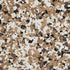 Torginol - Flocons pour époxy B960 Bean 1/4"