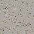 Tarkett - Tuile Caout Corktones 24 X24 X .125 #55