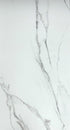 Plancher de vinyle Loose Lay Liberty Calacata / 18” x 36” x 5 mm