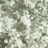 Torginol - Flocons pour epoxy MicaFlakes Micro M1010 Silver 10 lb 8-20 mailles