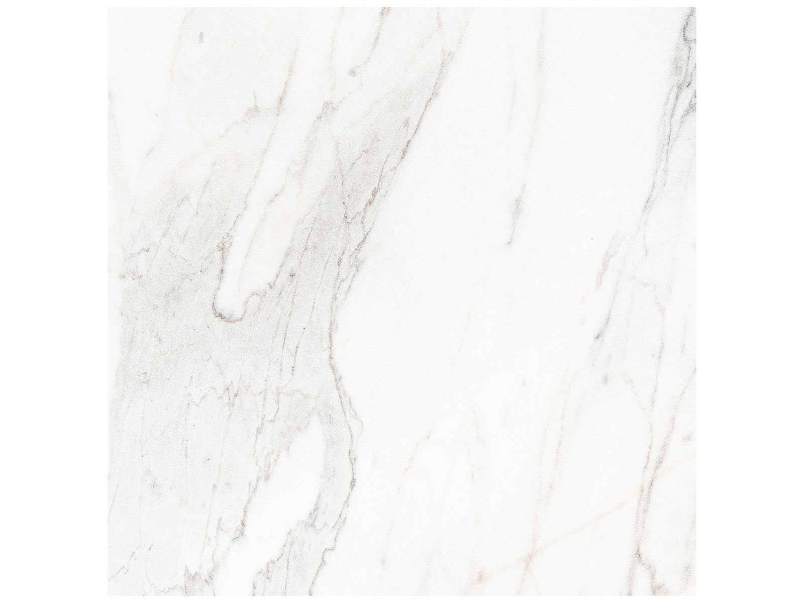 Anatolia - Majesto - Calacatta Borghini - Tuile de porcelaine colorée dans la masse rectifiée aspect pierre 24 x 24 po