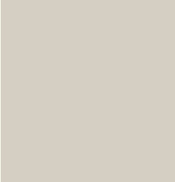Tarkett - Tuile De Bordure Lisse 24 X24 X.100 #24