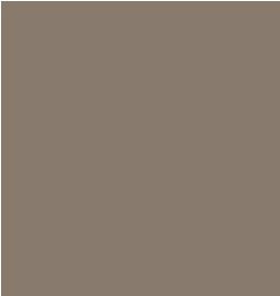 Tarkett - Plinthe Percep. Recess 4-1/4 X120' #107