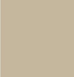 Tarkett - Nez Carre 3-1/8 X 1-1/2 X 3/8 #09