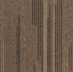 ProSolutions - Planche de tapis Prospective Cameo 9-27/32" x 39-3/8" - 5.98 v² par boite