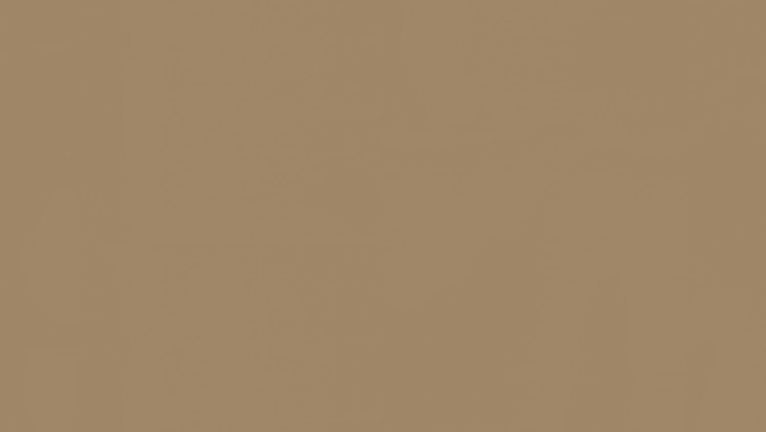Tarkett - Feuille de linoléum LinoFloor xf² Etrusco #032 Kraft 6-9/16' - 2.5 mm (vendu en vg²)