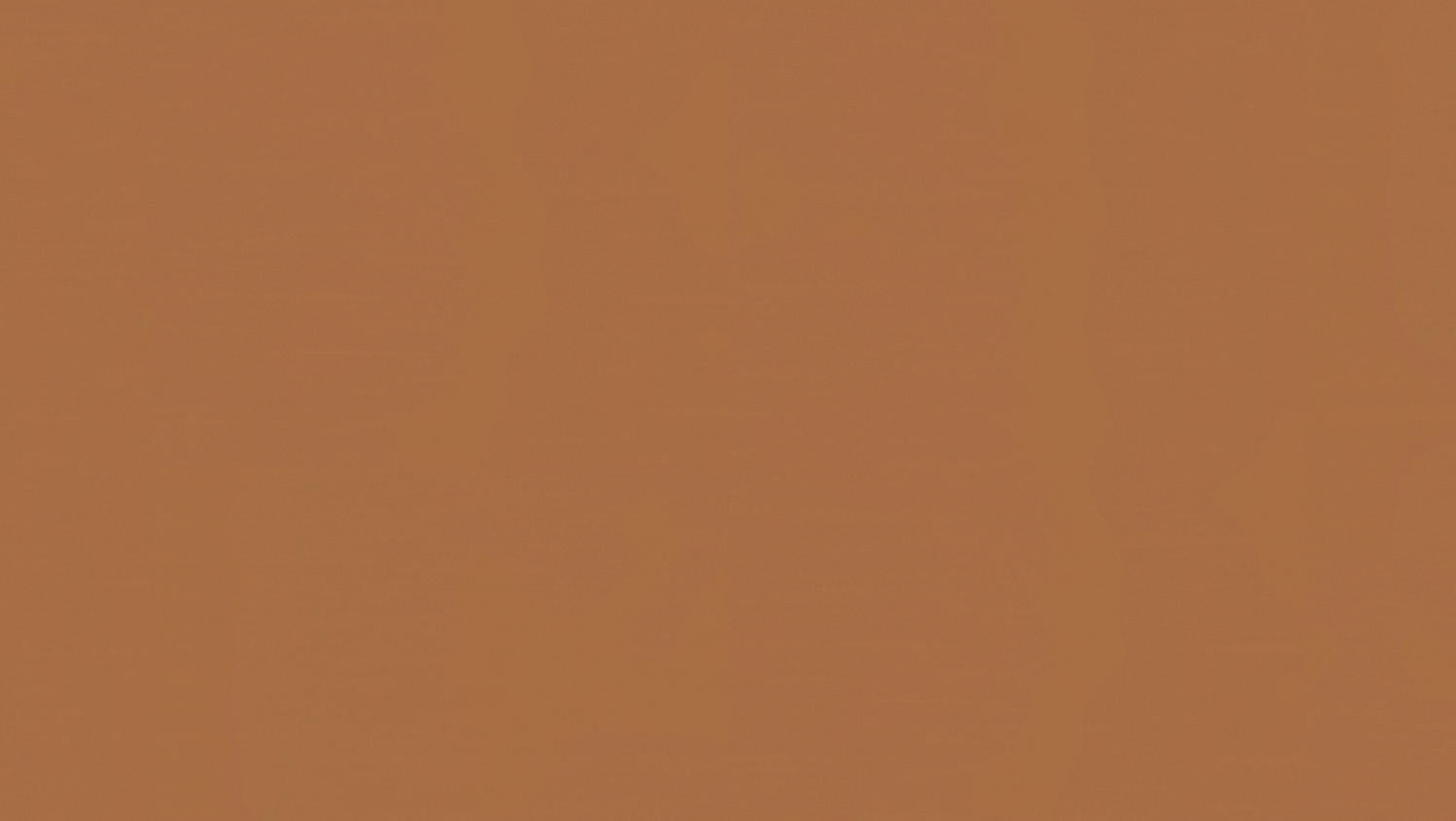 Tarkett - Feuille de linoléum LinoFloor xf² Etrusco #038 Ginger 6-9/16' - 2.5 mm (vendu en vg²)