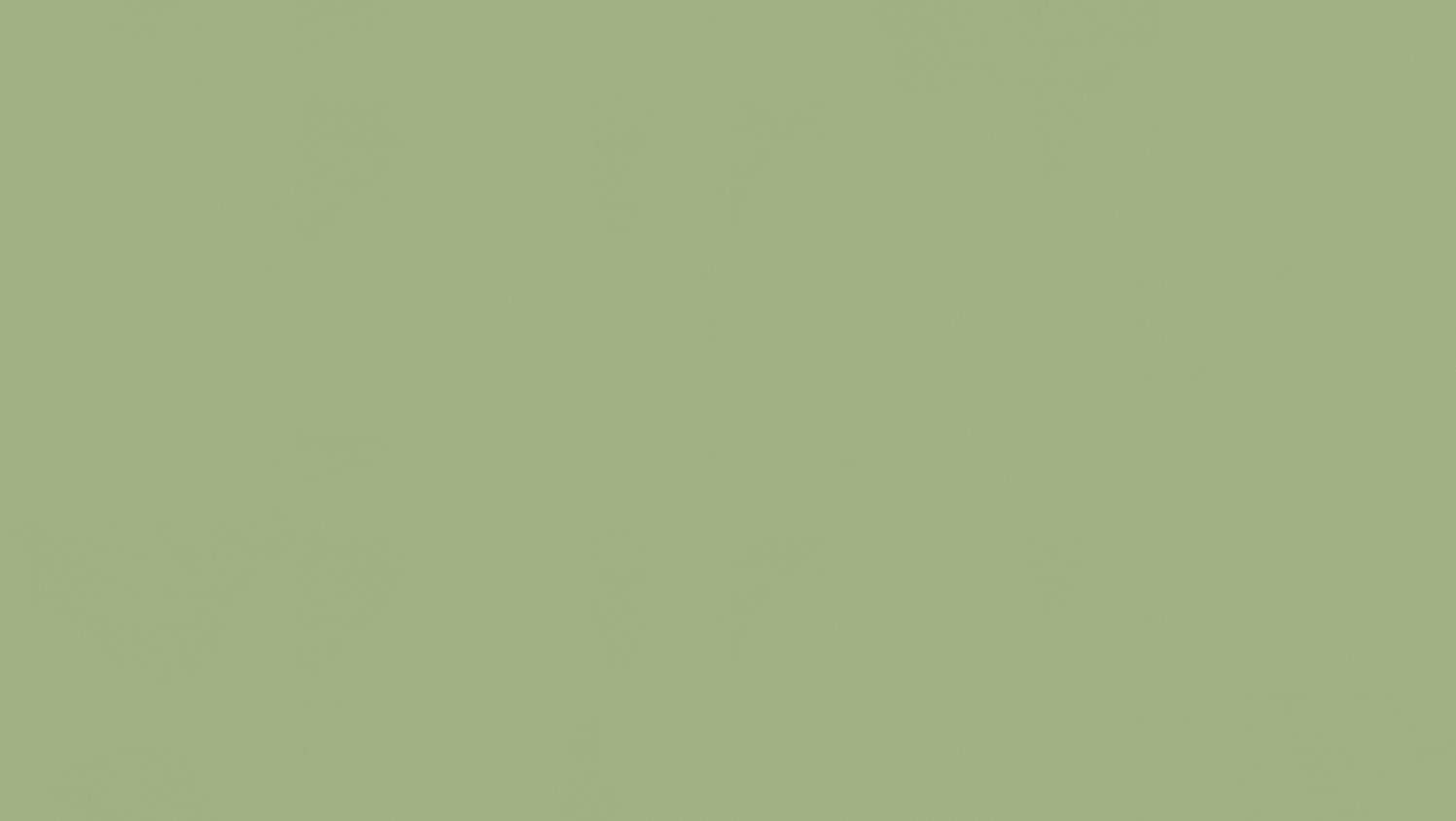 Tarkett - Feuille de linoléum LinoFloor xf² Etrusco #055 Olive 6-9/16' - 2.5 mm (vendu en vg²)