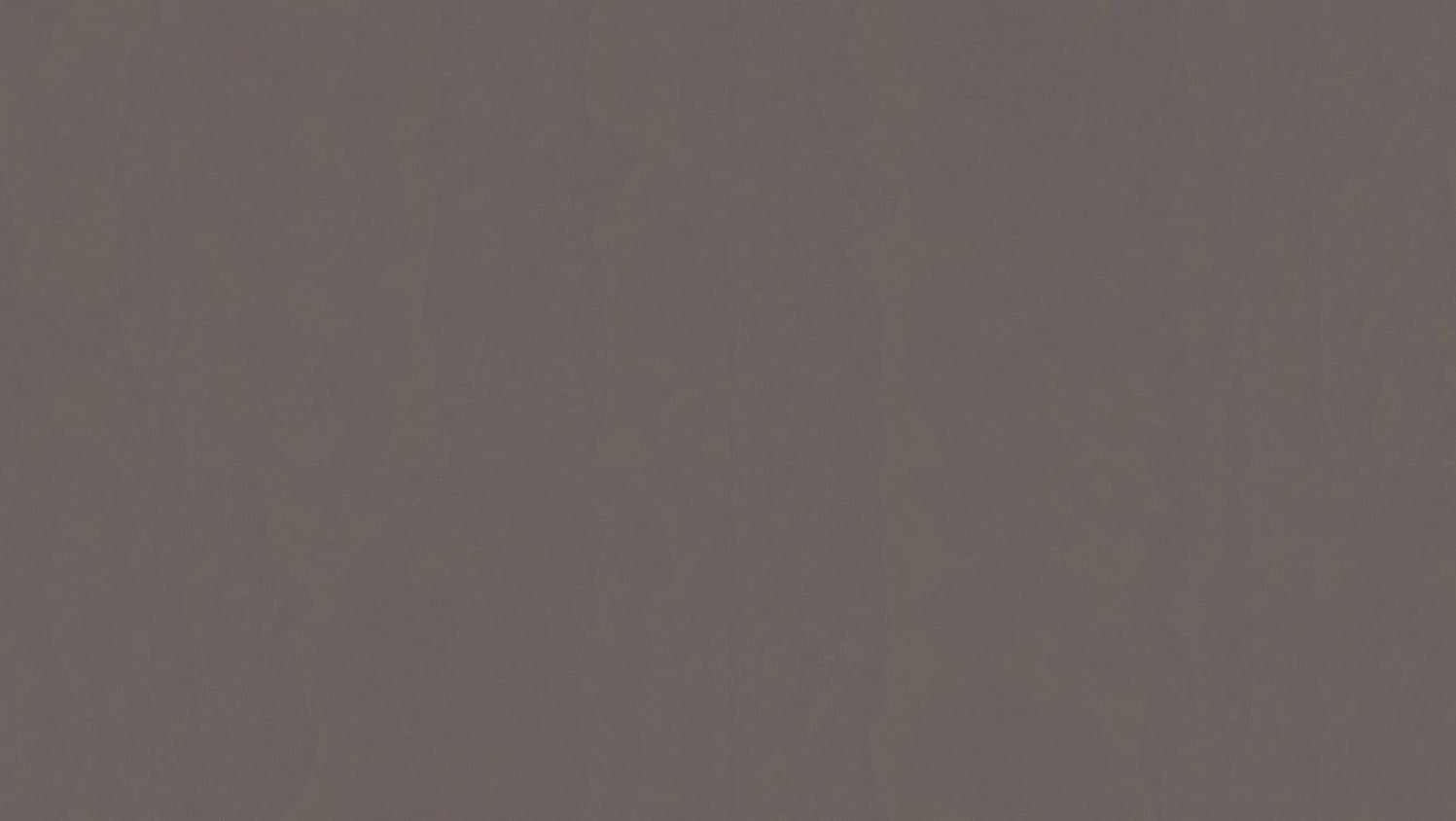 Tarkett - Feuille de linoléum LinoFloor xf² Originale #473 Pepper 6-9/16' - 2.5 mm (vendu en vg²)