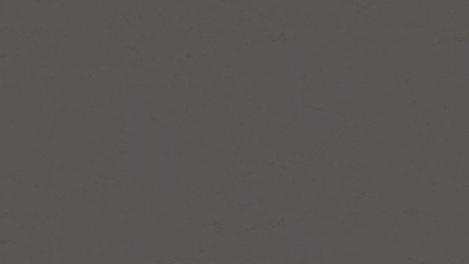 Tarkett - Feuille de linoléum LinoFloor xf² Originale #486 Granite 6-9/16' - 2.5 mm (vendu en vg²)