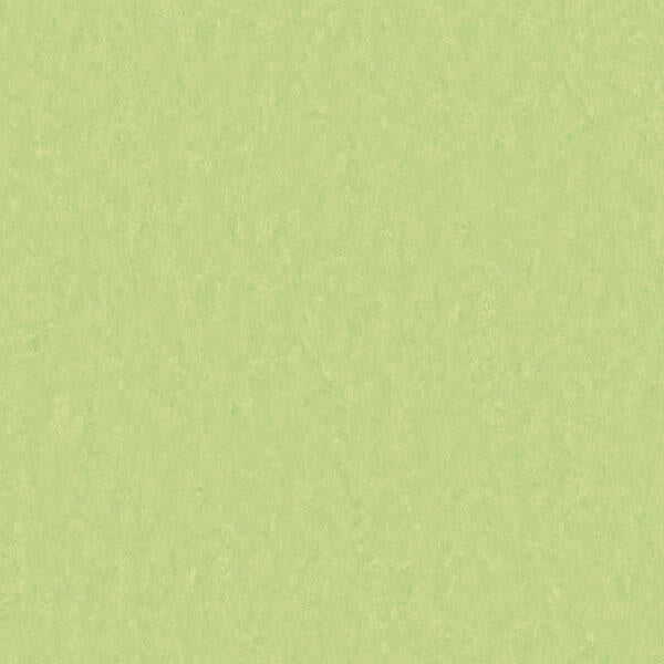 Tarkett - Feuille de linoléum Linofloor xf² Emme Mojito 6-1/2' - 2.5 mm (vendu en vg²)