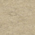 Tarkett - Feuille de linoléum Linofloor xf² Veneto Ecru 6-1/2' - 2.5 mm (vendu en vg²)