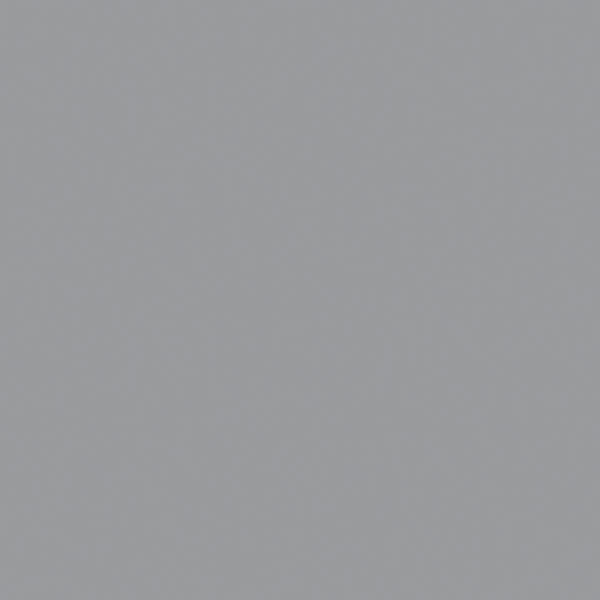 Tarkett - Rouleau de linoléum mural LinoWall xf² Silver 78-3/4" - 2mm (vendu en vg²)