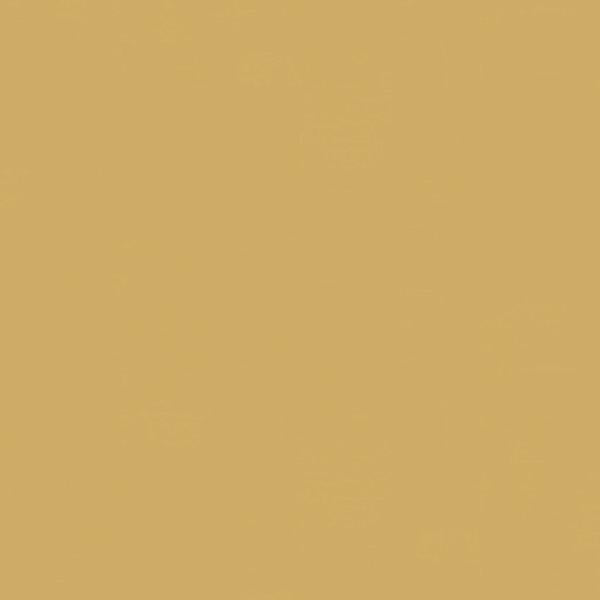 Tarkett - Rouleau de linoléum mural LinoWall xf² Honey 78-3/4" - 2mm (vendu en vg²)